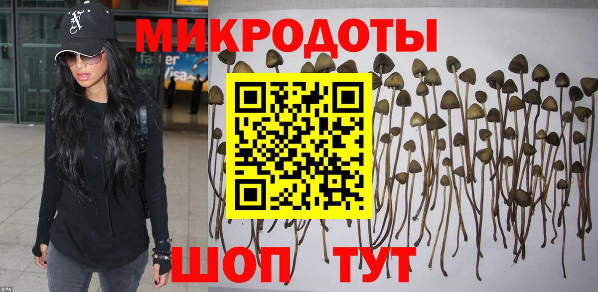 Галлюциногенные грибы мухоморы  Галлюциногенные грибы ЛСД  Вход с VPN  Кузнецк 